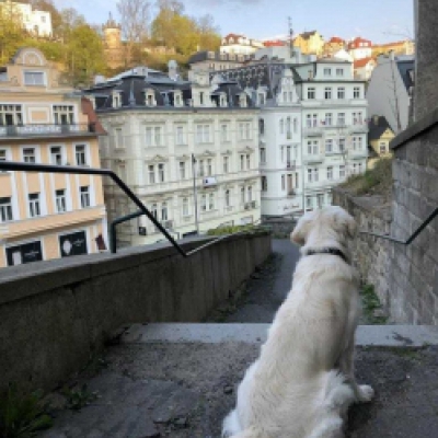 V rajských uličkách, Karlovy Vary, Jaro T.